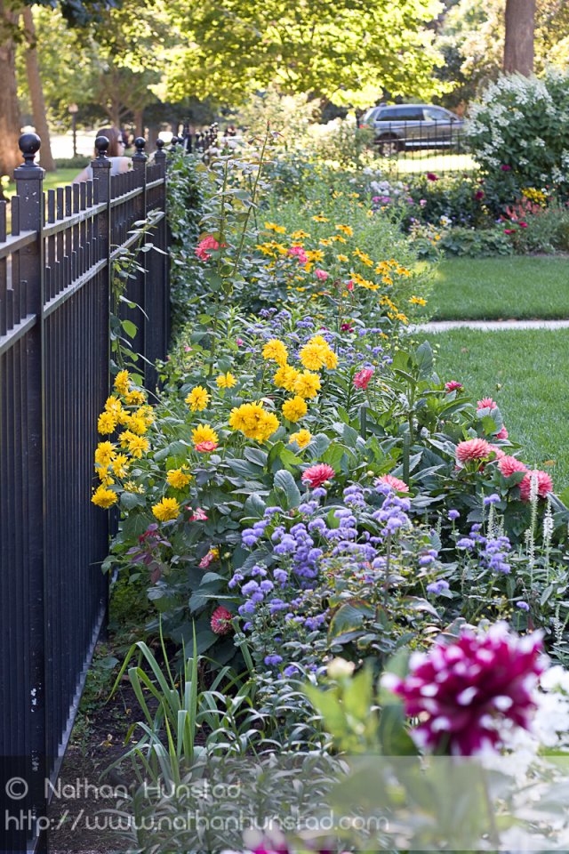 Summit_Avenue_2008-08-24_IMG_1579